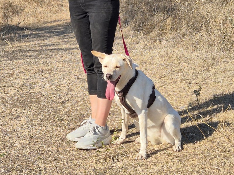 Bailey sucht ihre Menschen Bailey sucht ihre Menschen