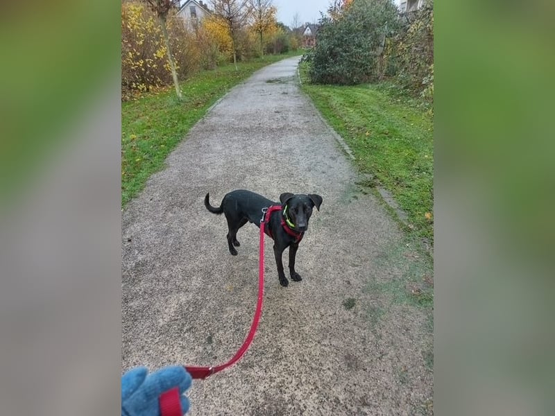 Pino/Villi sucht aktive Menschen
