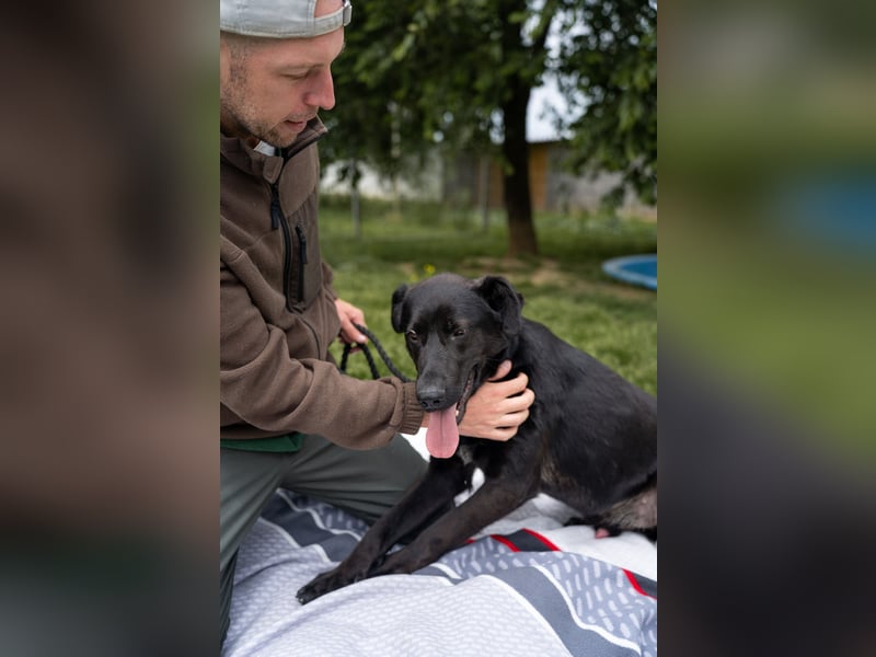 Kaszo, aufgeschlossen, liebt Menschen….so so süß ❤️