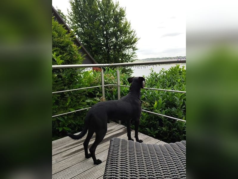 Pino/Villi sucht aktive Menschen