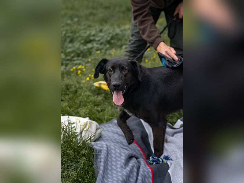 Kaszo, aufgeschlossen, liebt Menschen….so so süß ❤️