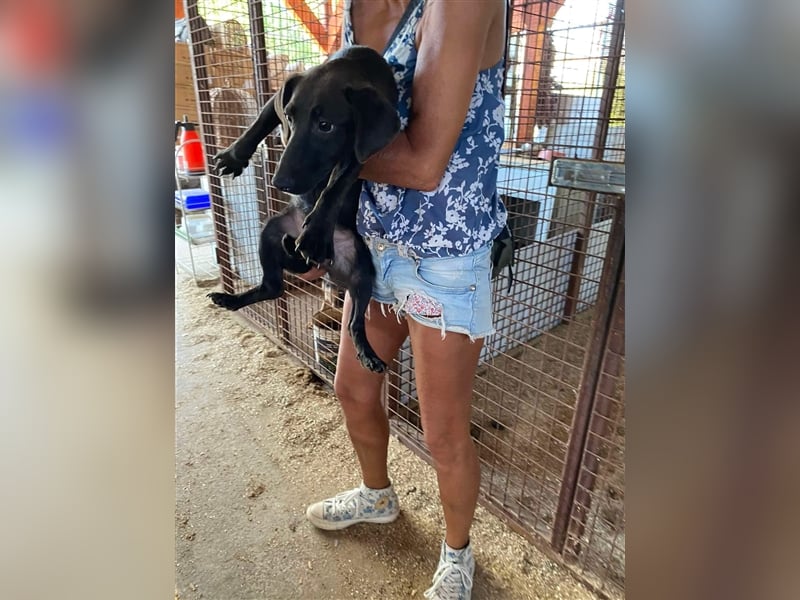 Pali, kleiner Sonnenschein freut sich auf seine Menschen