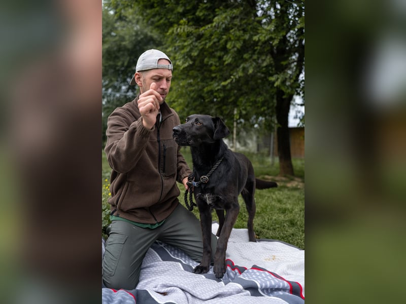 Kaszo, aufgeschlossen, liebt Menschen….so so süß ❤️