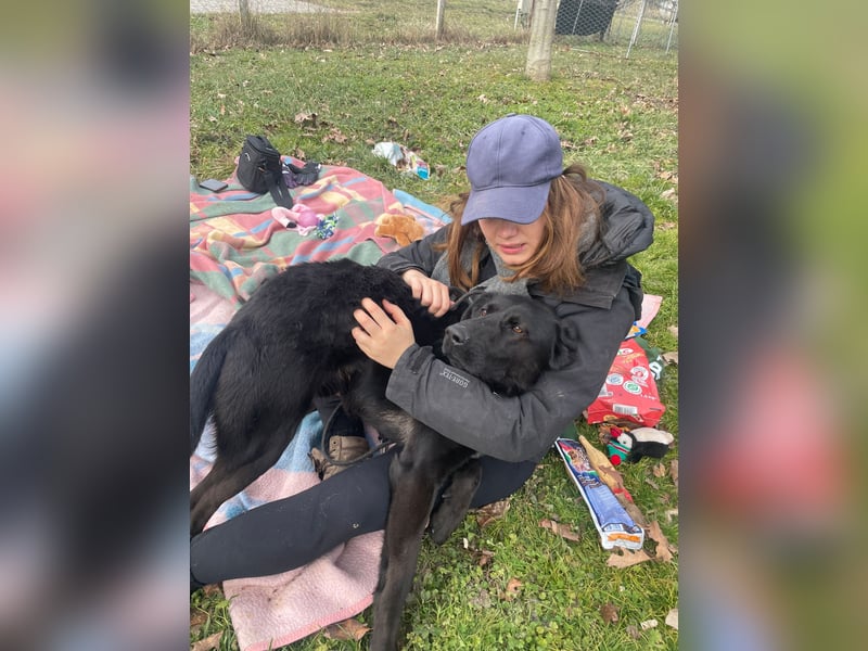 Kaszo, aufgeschlossen, liebt Menschen….so so süß ❤️