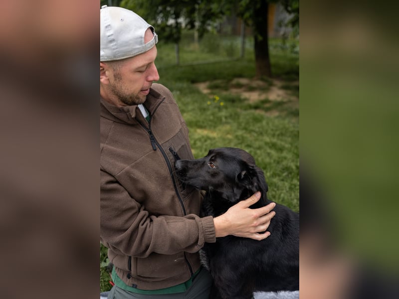 Kaszo, aufgeschlossen, liebt Menschen….so so süß ❤️