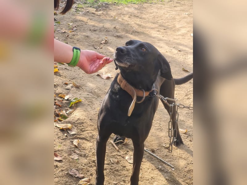 Bob wartet schon so lange