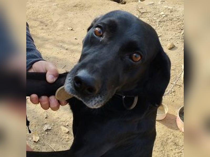 Bob wartet schon so lange