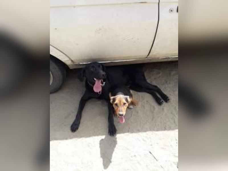 Bob wartet schon so lange