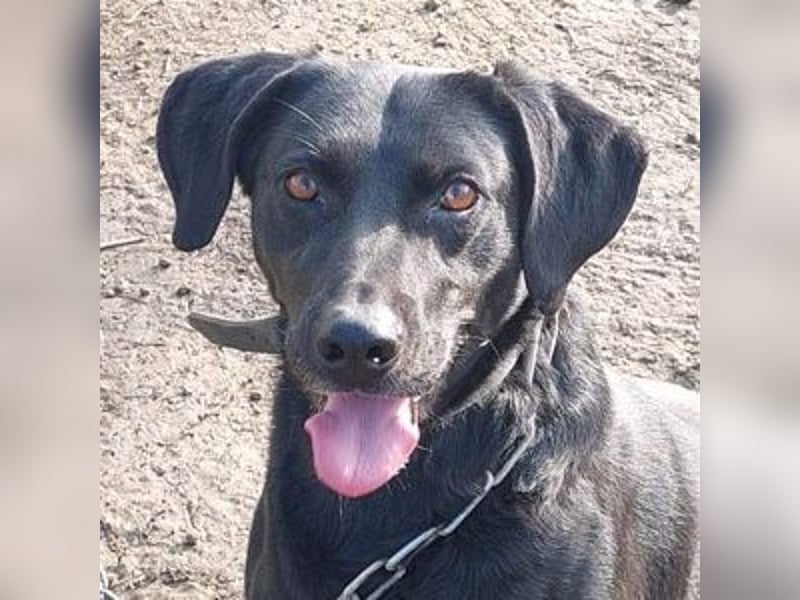 Bob wartet schon so lange