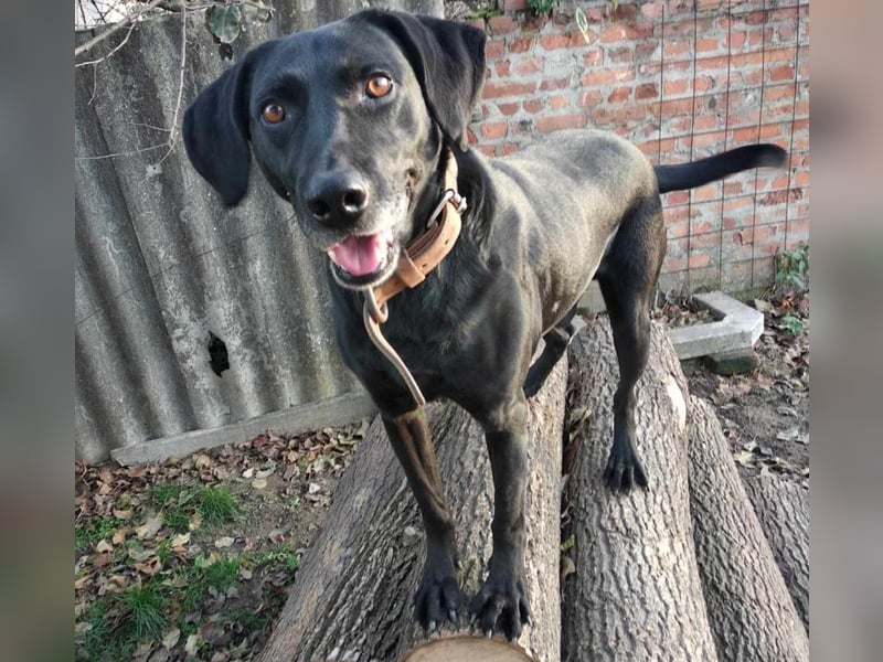 Bob wartet schon so lange