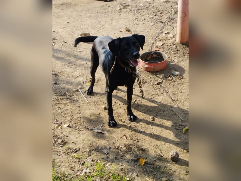 Bob wartet schon so lange