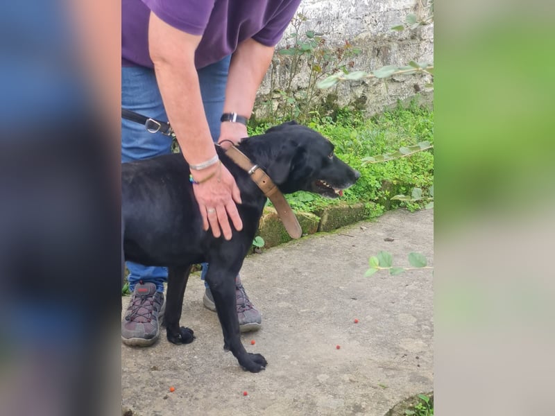 Bob wartet schon so lange