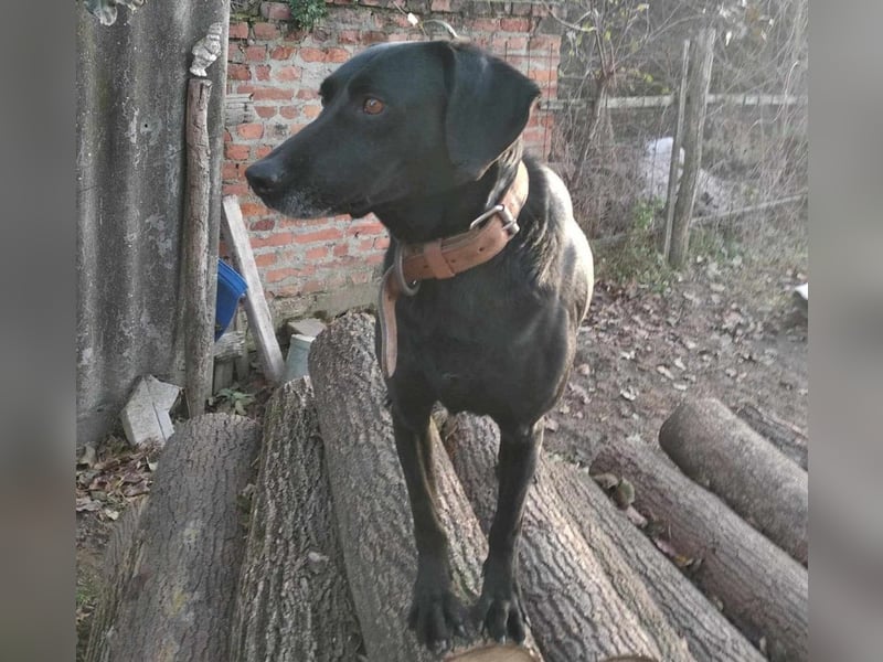 Bob wartet schon so lange