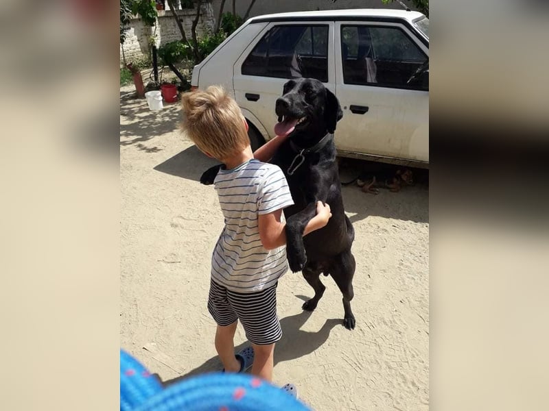 Bob wartet schon so lange