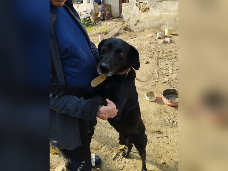 Bob wartet schon so lange