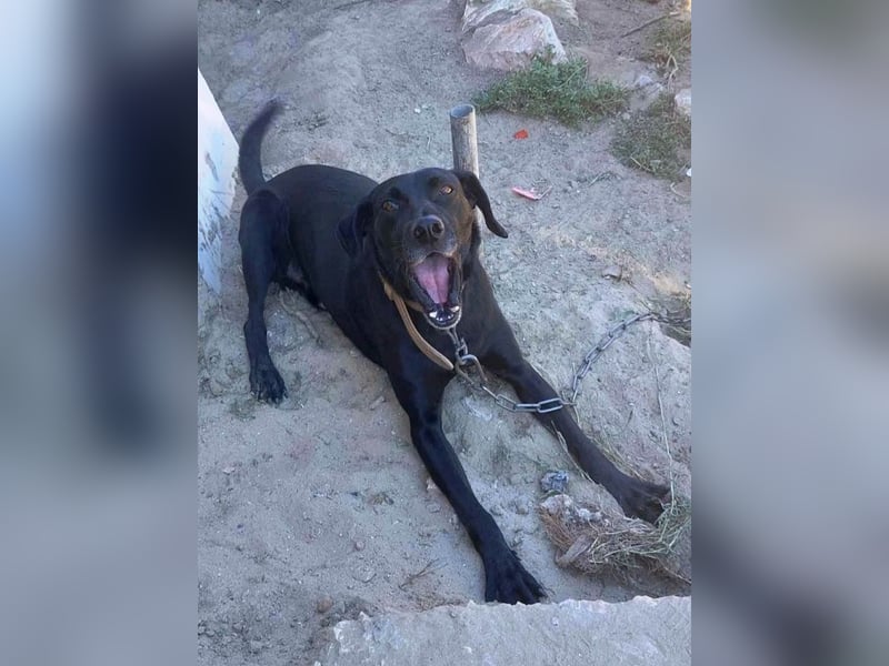 Bob wartet schon so lange