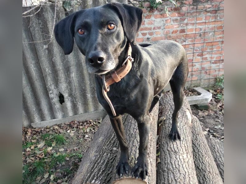 Bob wartet schon so lange