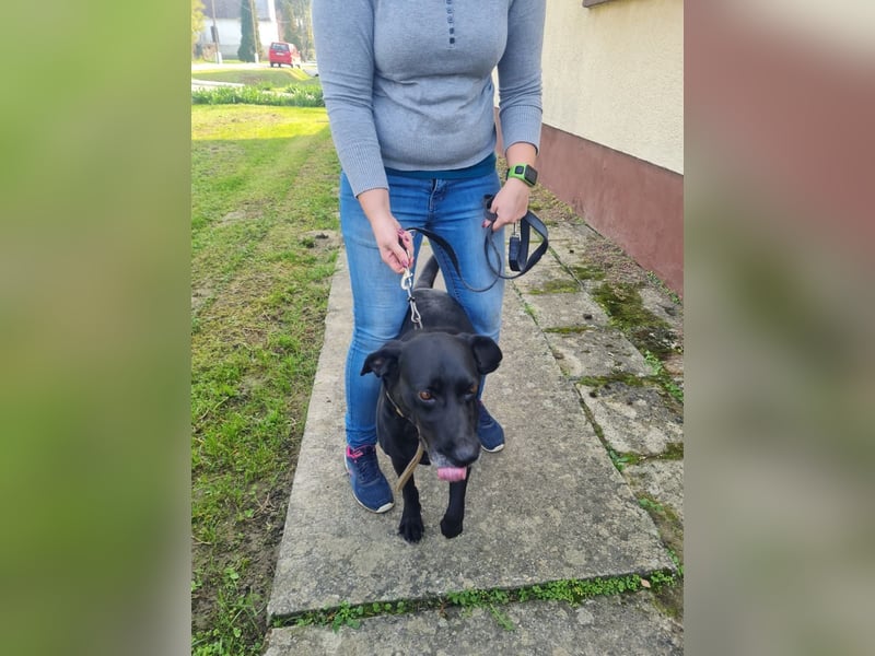 Bob wartet schon so lange