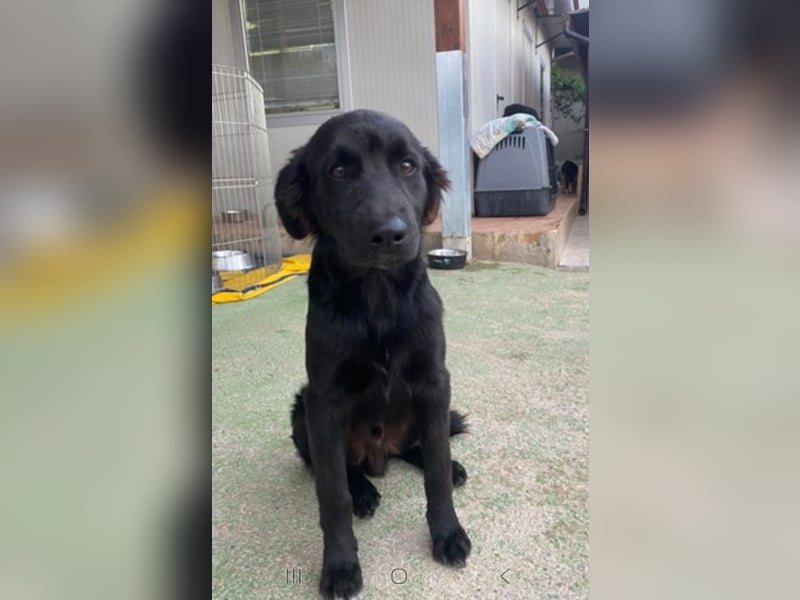 Baldo: ein Schatz für die ganze Familie