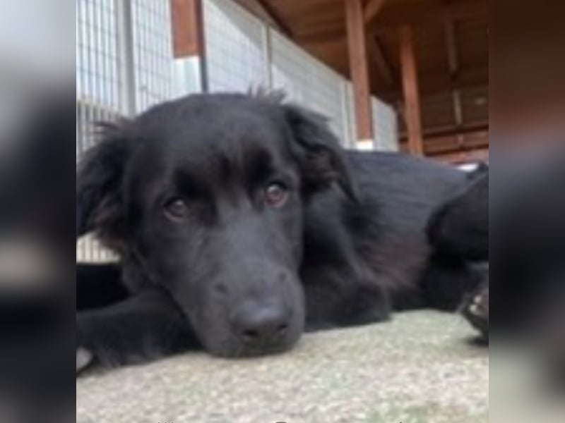 Baldo: ein Schatz für die ganze Familie