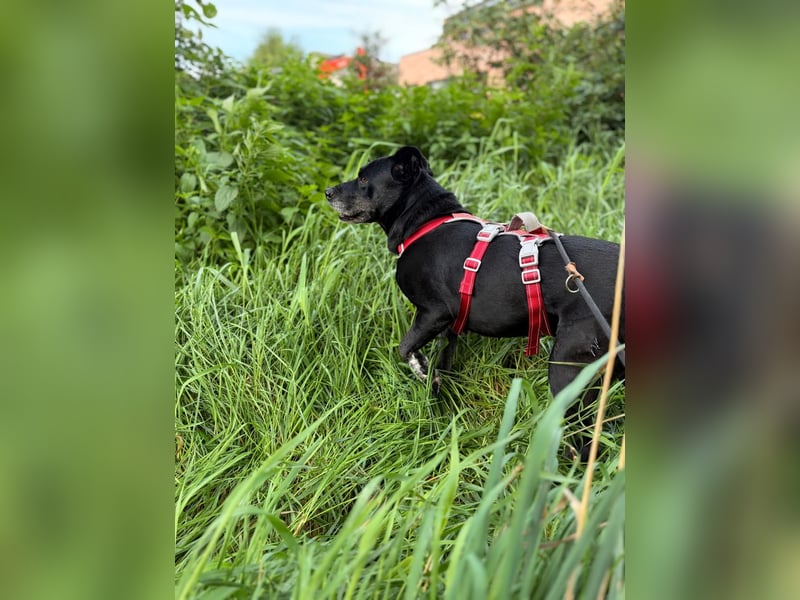 Blacky - sooo liebevoll