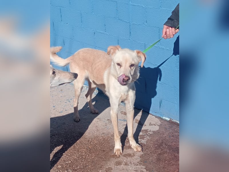 Edu, sucht seine Familie