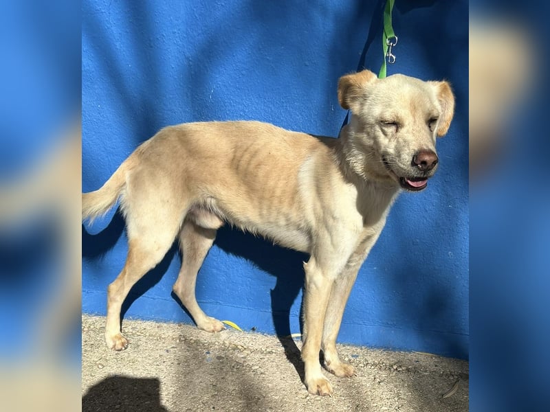 Edu, sucht seine Familie