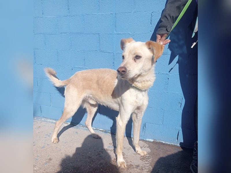 Edu, sucht seine Familie