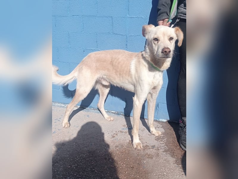 Edu, sucht seine Familie