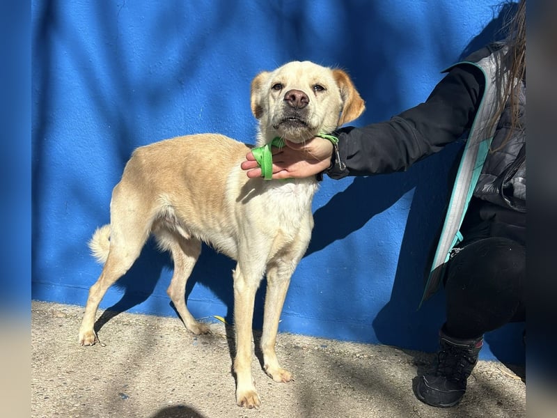 Edu, sucht seine Familie