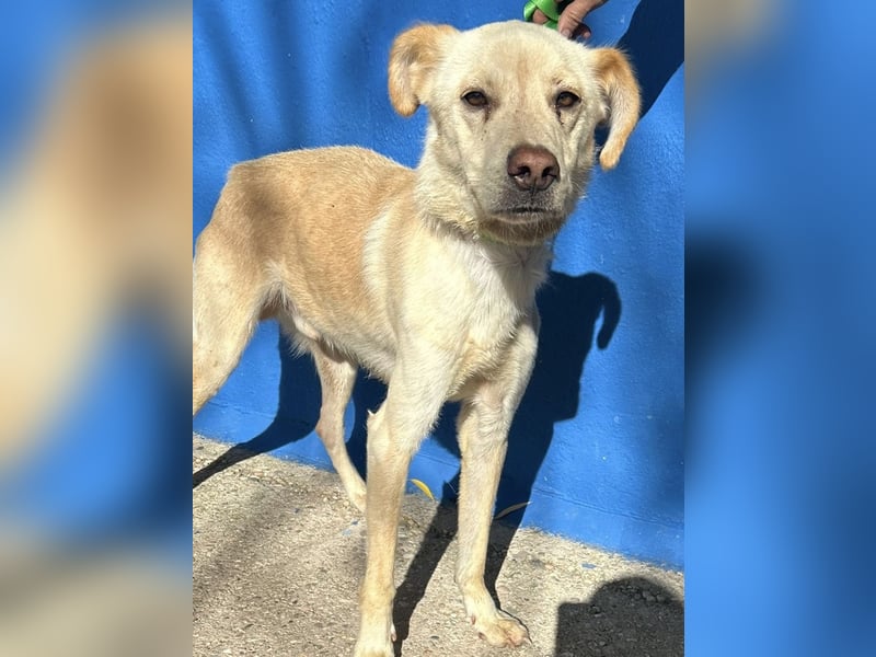 Edu, sucht seine Familie