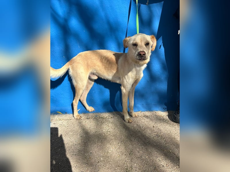 Edu, sucht seine Familie