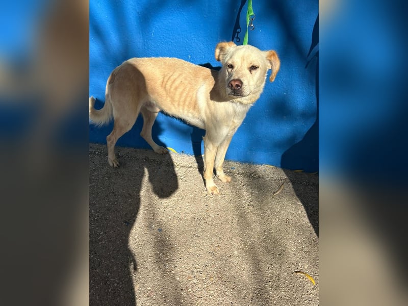 Edu, sucht seine Familie