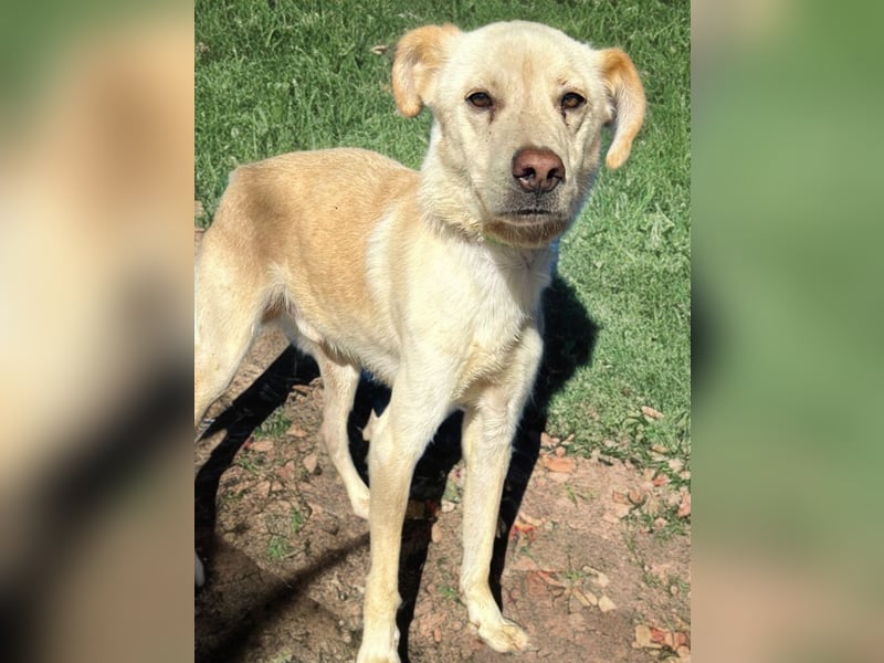 Edu, sucht seine Familie