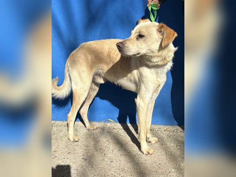 Edu, sucht seine Familie