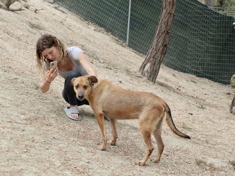 Schmusebär PINO sucht eine eigene Familie!