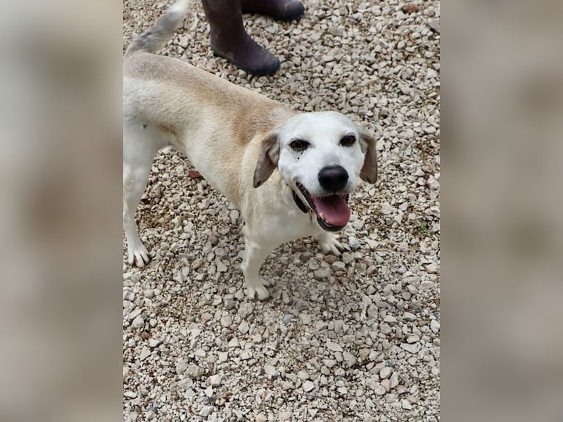 Grinsebacke TINE sucht eine Familie!