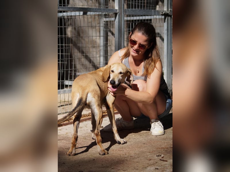 Sonnenschein auf vier Pfoten EMELY sucht eine Familie!