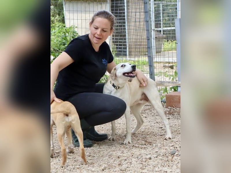 Super niedliche und liebe Grinsebacke TINE sucht eine Familie