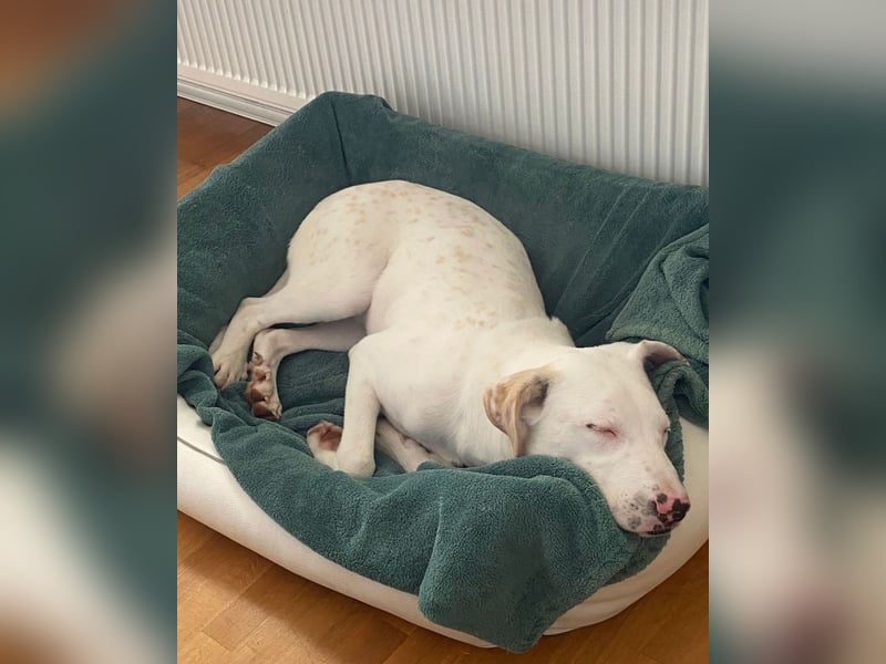 Yuki: wenn das Leben andere Pläne mit dir hat