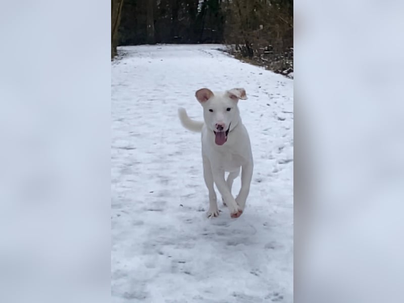 Yuki: wenn das Leben andere Pläne mit dir hat