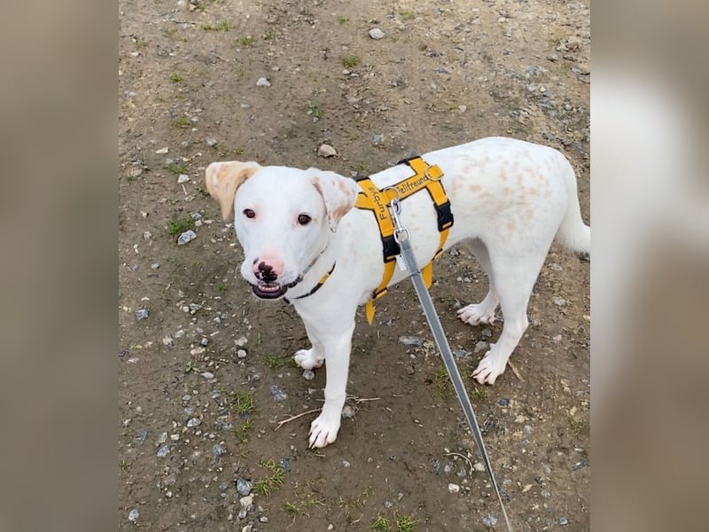 Yuki: wenn das Leben andere Pläne mit dir hat