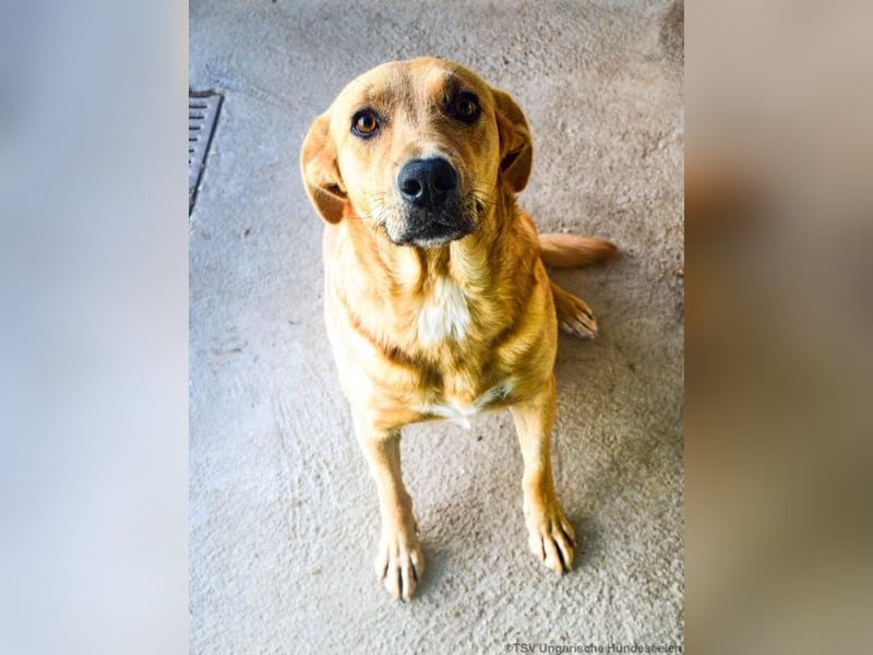 Greta, geboren 06.2023, 50cm sucht ihr Zuhause