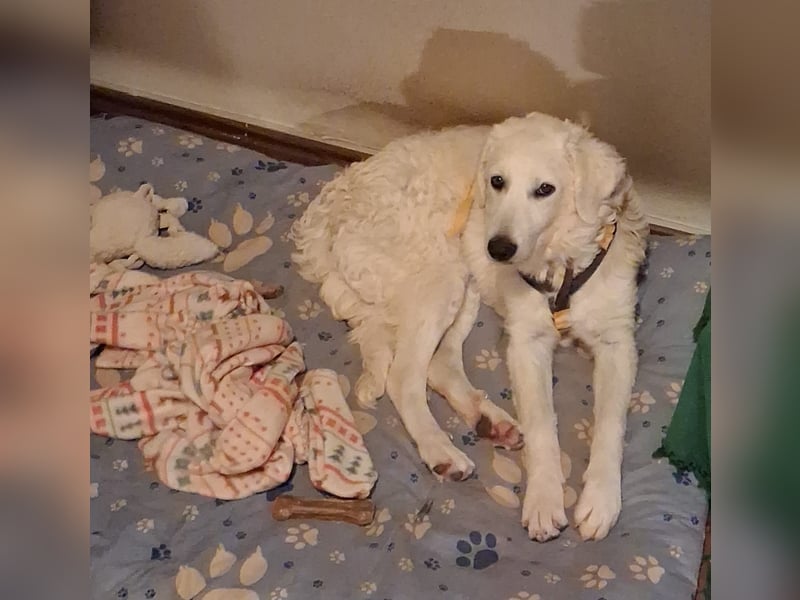 Greta: wer zeigt mir die bunte Welt? Greta: wer zeigt mir die bunte Welt?