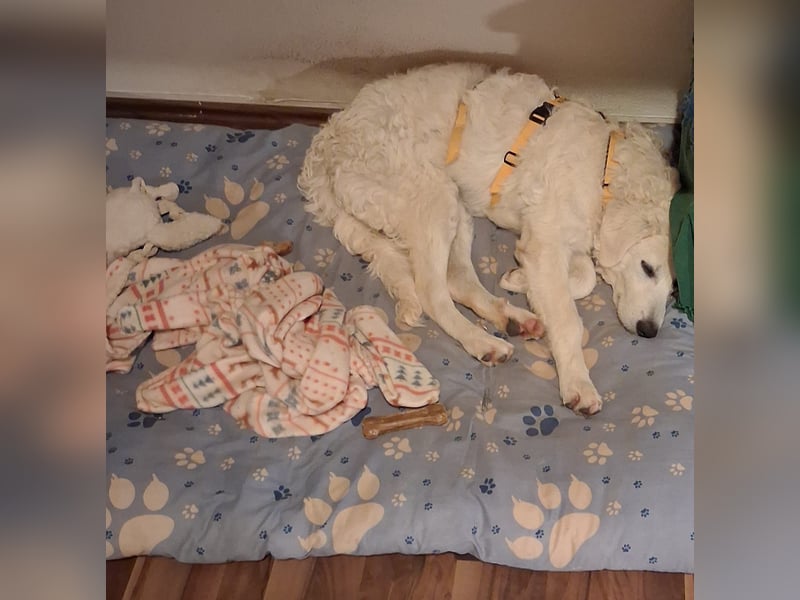 Greta: wer zeigt mir die bunte Welt? Greta: wer zeigt mir die bunte Welt?