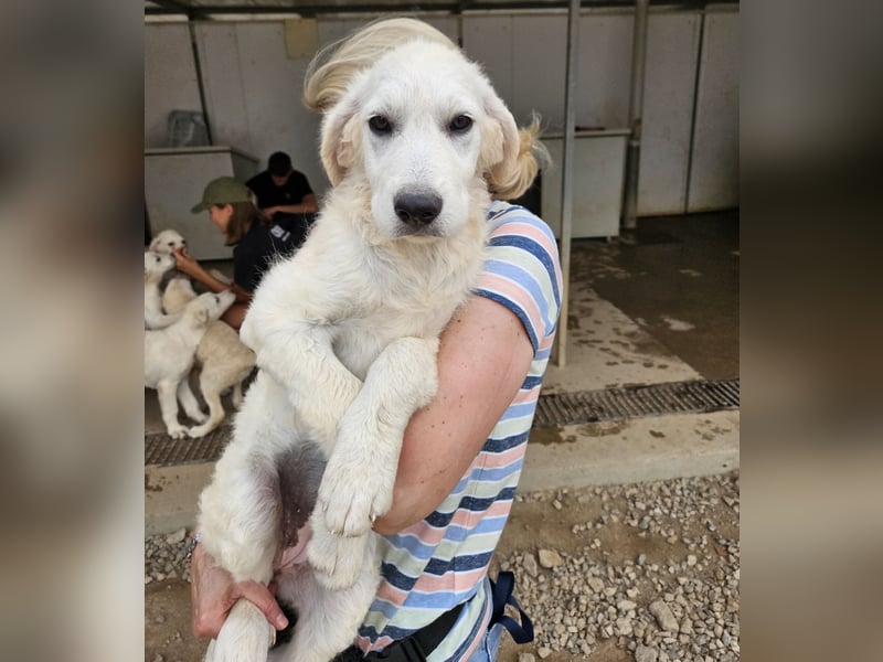 Greta: wer zeigt mir die bunte Welt? Greta: wer zeigt mir die bunte Welt?