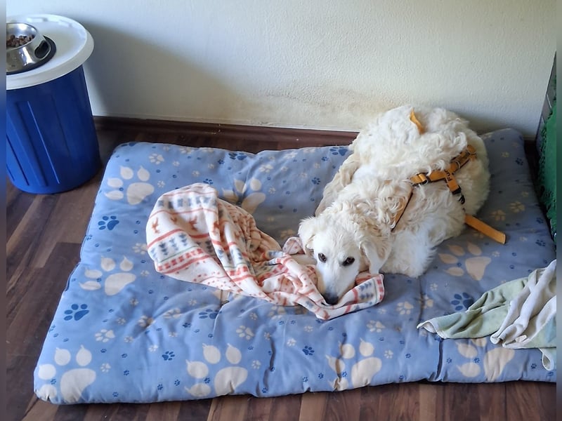 Greta: wer zeigt mir die bunte Welt? Greta: wer zeigt mir die bunte Welt?