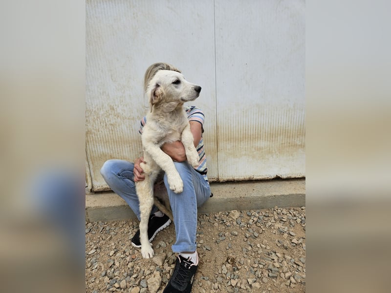 Greta: wer zeigt mir die bunte Welt? Greta: wer zeigt mir die bunte Welt?