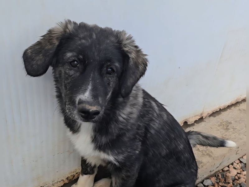 Pesca: Spaß und gute Laune garantiert