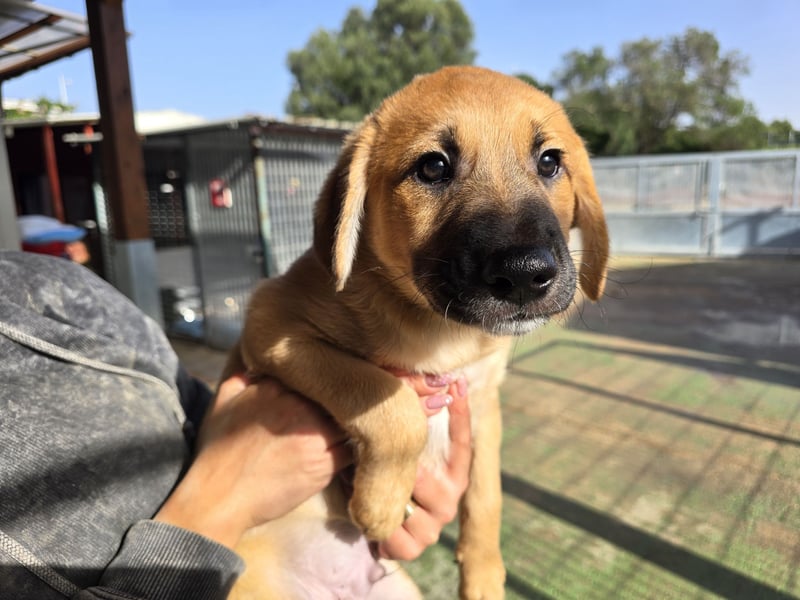 Egidio: freut sich auf ein Leben in einer Familie